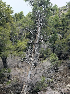 E-P1040509