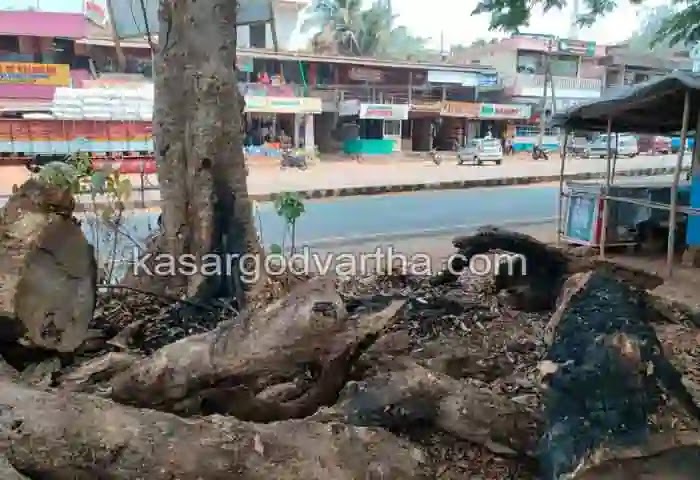 Muliyar-News, Bovikanam-News, Anti-socials set fire to tree on roadside.