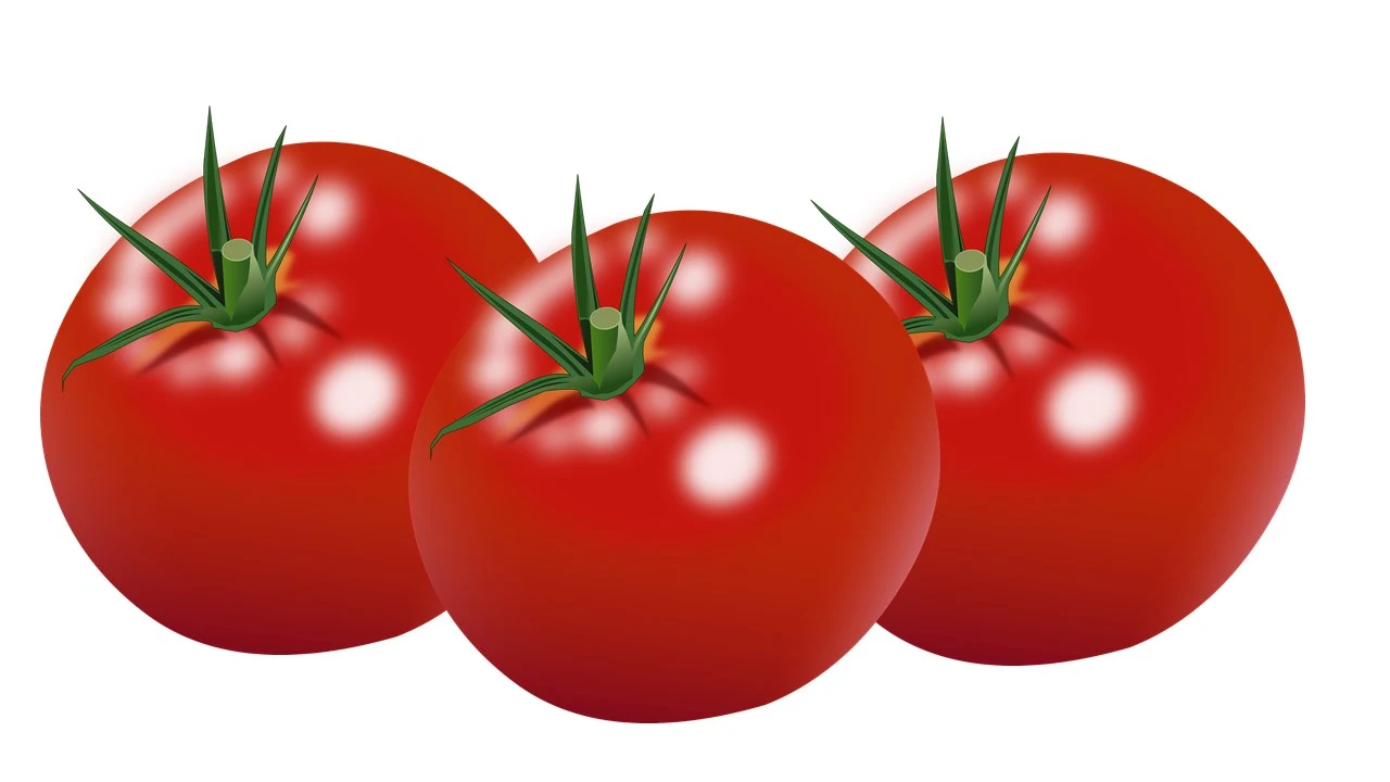 فوائد الطماطم للرجال، فوائد أكل الطماطم للبشرة، فوائد الطماطم للمرأة، فوائد الطماطم للبشرة، فيتامينات الطماطم، أضرار الطماطم، خصائص الطماطم، فوائد عصير الطماطم