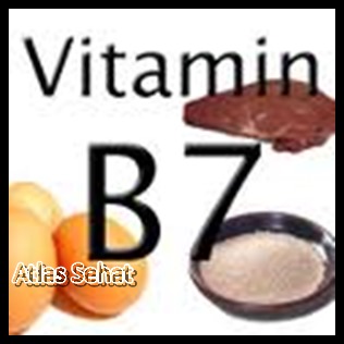 Manfaat Vitamin B7 Untuk Kesehatan - z-tempur.blogspot.com