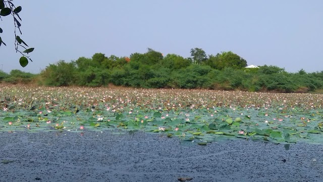 કાશ્મીર નહીં ભાવનગર છે ! - ડો. તેજસ દોશી