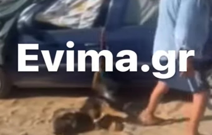 Κλείδωσαν τον σκύλο τους στο αυτοκίνητο για να κάνουν μπάνιο και τσακώθηκαν με τον κόσμο που πήγε να τον ελευθερώσει - Βίντεο σοκ