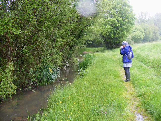 Botanising in the Brenne. Indre. France. Photographed by Susan Walter. Tour the Loire Valley with a classic car and a private guide.