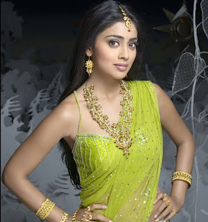 Shreya (Shriya) Sexy Stills