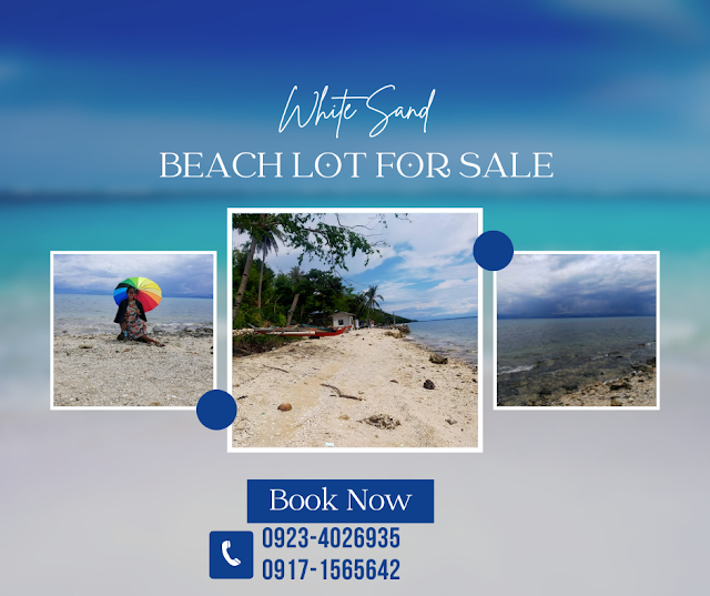 Beachfront Property in Dumanjug Cebu South White Beach