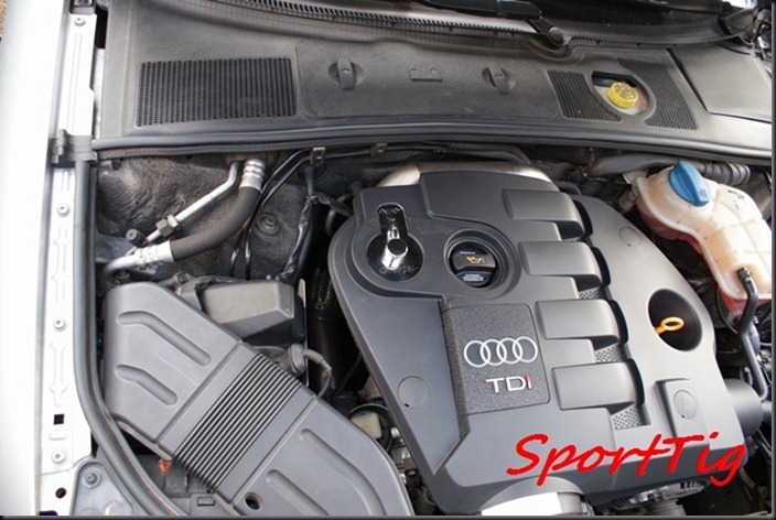 AUDI 1 (1)