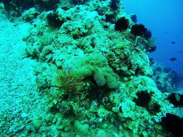 Scuba Diving at Lemlunay