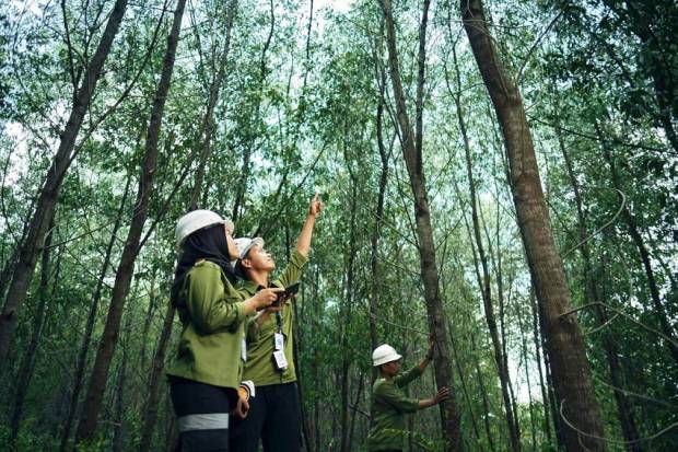  Mengenal Jurusan Kehutanan dan Prospek Kerjanya