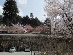 DSC03333