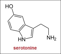 serotonine