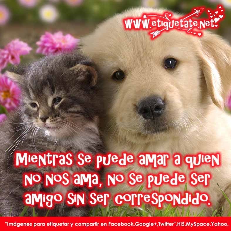 bellas imagenes de amistad - Imagenes y Frases de Amor y Amistad Animadas Nuevas 