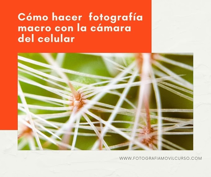 Cómo hacer fotos Macro con el móvil 