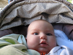 3 Months