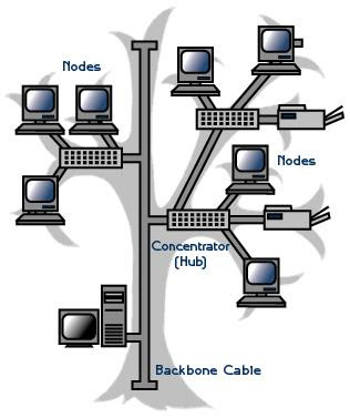 topologi tree