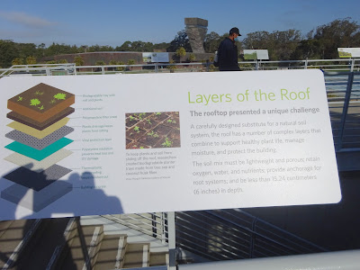 roof on Cal Academy