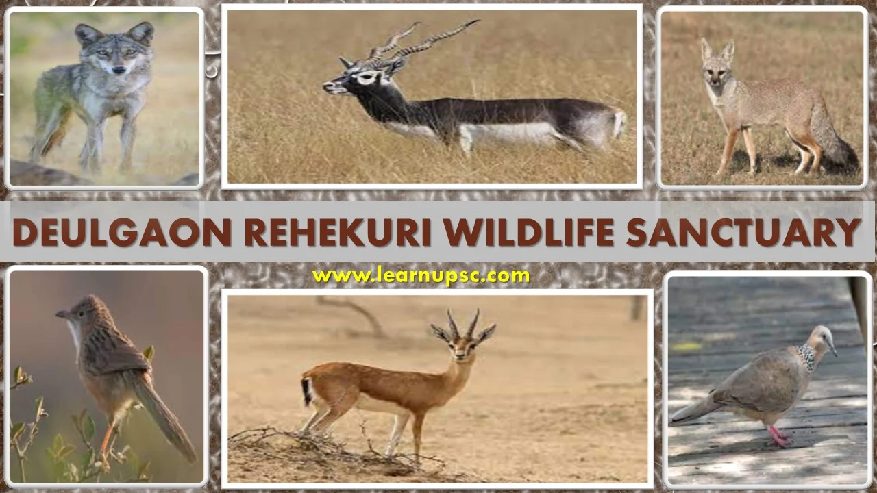 Deulgaon Rehekuri Wildlife Sanctuary