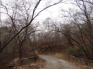 Kali Ghati - The Black and Horror Forest in Sariska Alwar