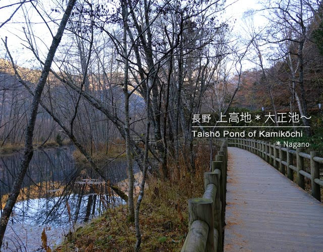 [初冬の上高地] 大正池から河童橋までの風景