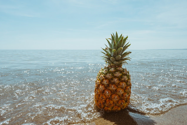 A pineapple sitting on a beach in front of the ocean. The tide is in so the bottom of the pineapple is getting wet, but it's sunny so it's having a great time.