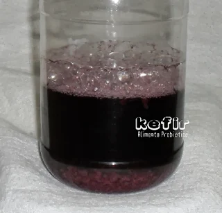 Kefir Alimento Probiótico