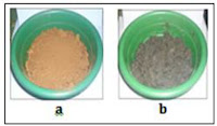 Phytoremediation potential of Centella asiatica (gotu kola) in nickel ore-contaminated soils