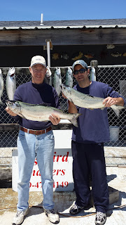 salmon fishing charters michigan, mi fishing charters, salmon, lake trout