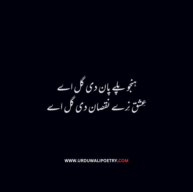 Best Punjabi Poetry in Urdu Lines | Punjabi Quotes in Urdu