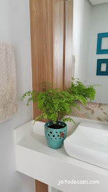 dica-de-plantas-para-lavabo