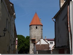 P1030393