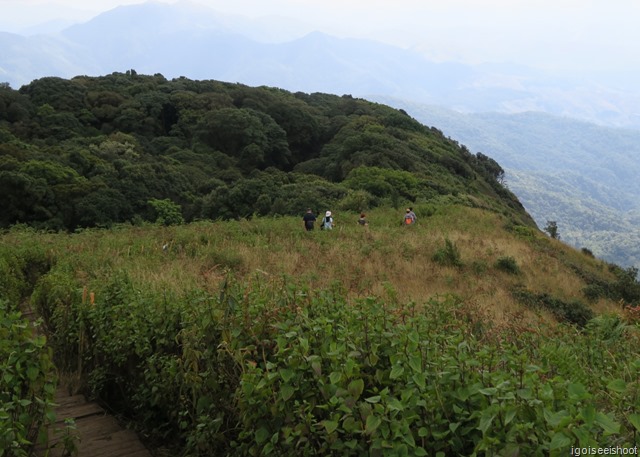 Hiking the Kew Mae Pan nature trails at Doi Inthanon National Park