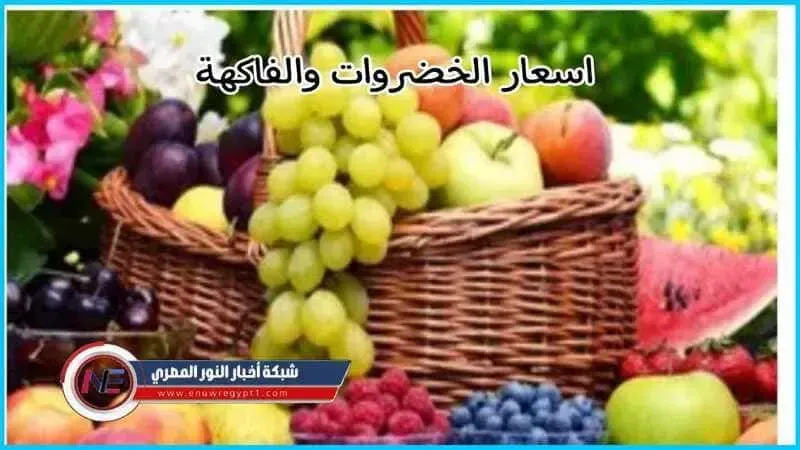 "جولة في سوق الجمعة".. اسعار الخضراوت والفاكهة اليوم 19-10-2022 بالاسواق المصرية