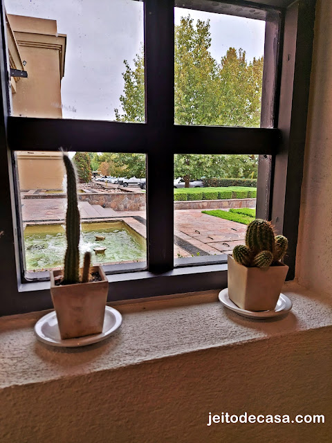 vaso-de-cactus-na-janela-decoracao