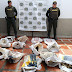 En La Gloria recuperan 79 babillas (Caimán Crocodilus)
