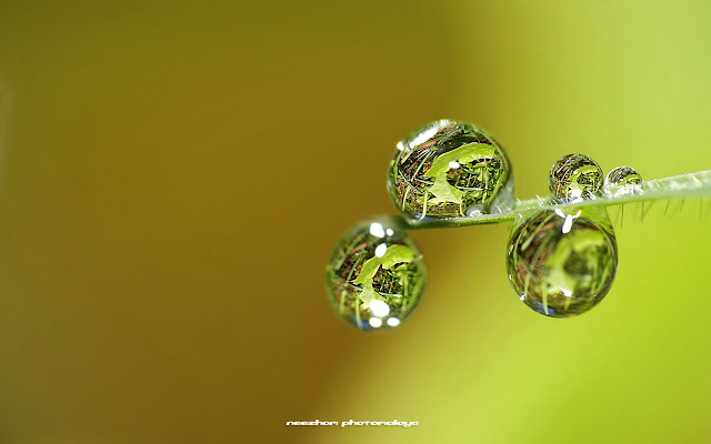 Top and bottom water drops with refraction