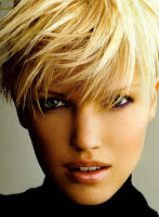 Andrew Collinge Hairstyles