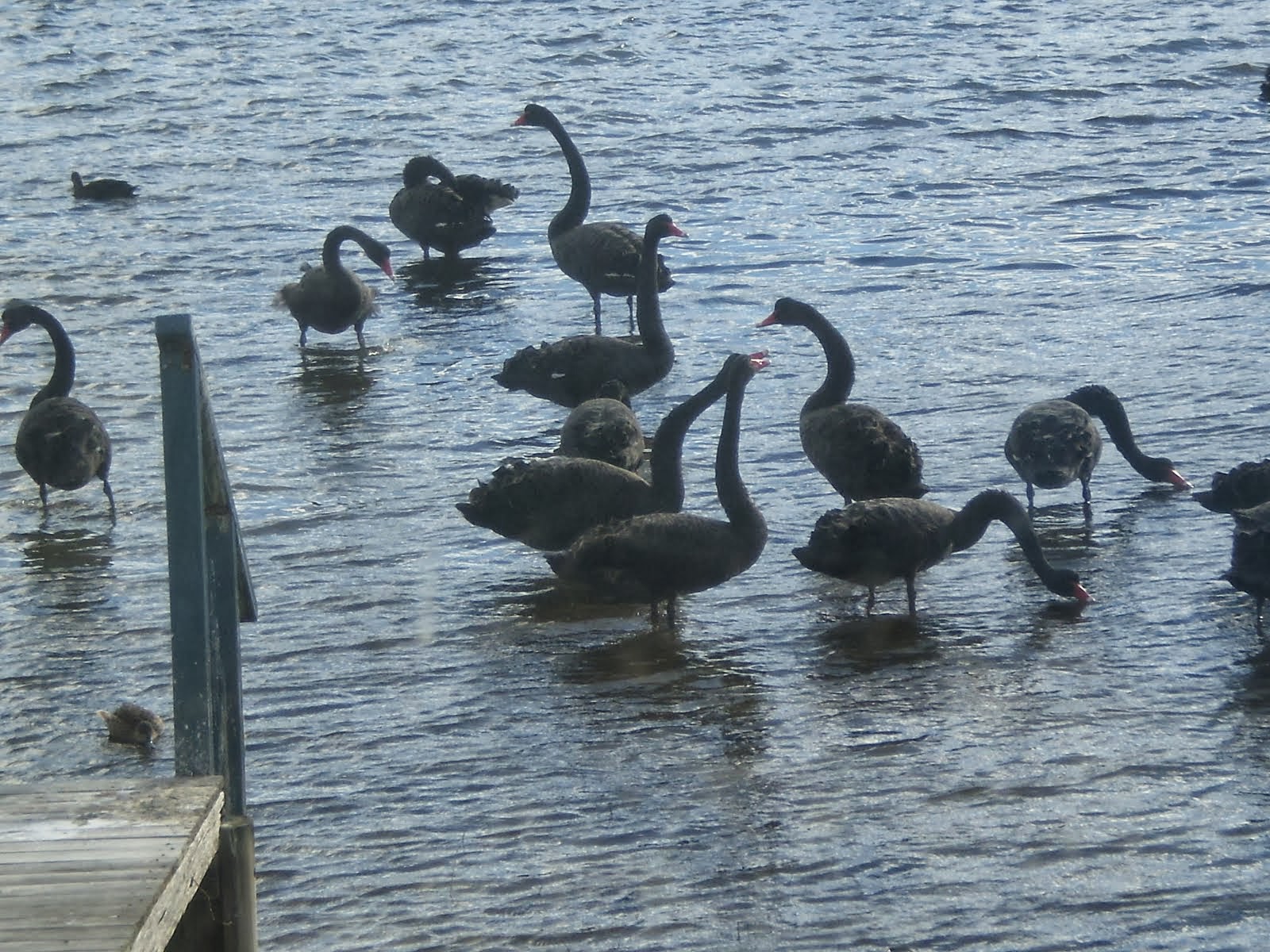 Lake View