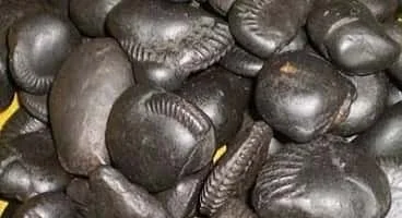 Shaligram bhagwan ka pujan kaise kare