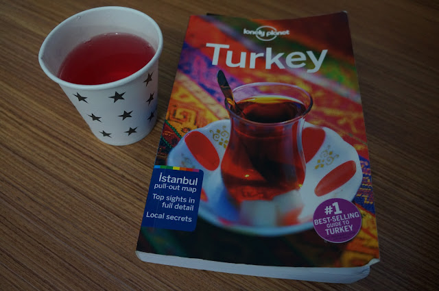 guia Lonely Planet Turkey