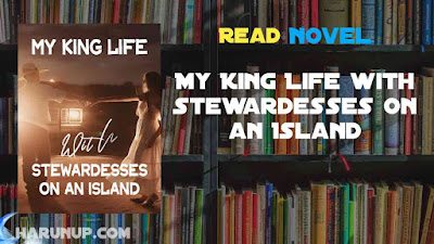 Read My King Life with Stewardesses on an Island Novel Full Episode