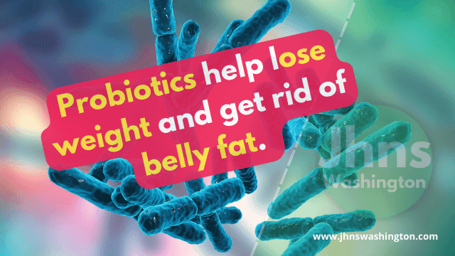 Do probiotics get rid of belly fat