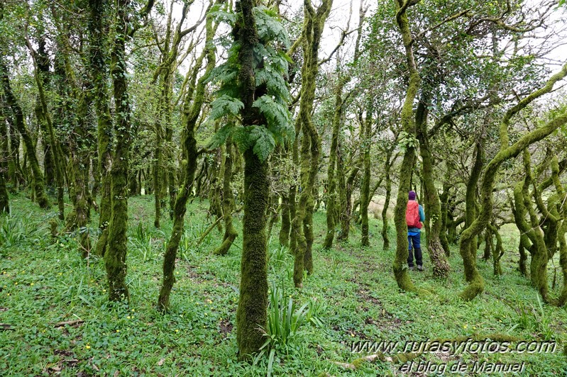 Cascadas del río de los Molinos - Tajo de la Corza - Llanos del Juncal - Pico Luna - Sendero de los Calabozos