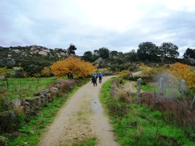 P1060756