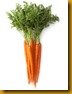 Carrots3