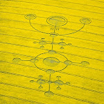 gambar crop circle, foto crop circle, alien, ufo, lingkaran tanaman, www.digaleri.com