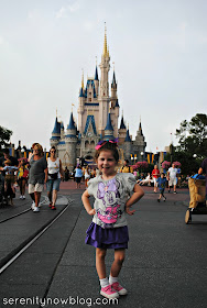 Picture in front of Magic Kingdom Castle, Serenity Now blog