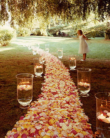 Ceremony Aisle Decorations