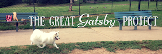 the great gatsby project