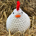 FREE Crochet Chicken Pattern (EASY no SEW)