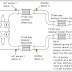 Dodge 2 4 Engine Diagram 02 Sensor