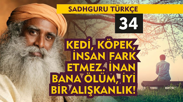 Kedi, Köpek, İnsan Fark Etmez. İnan Bana Ölüm İyi Bir Alışkanlık / Sadhguru Türkçe 34